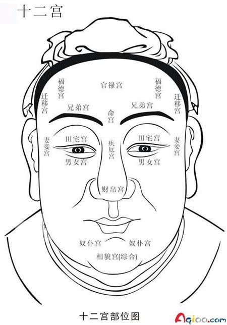 面相十二宫|面相十二宫图解